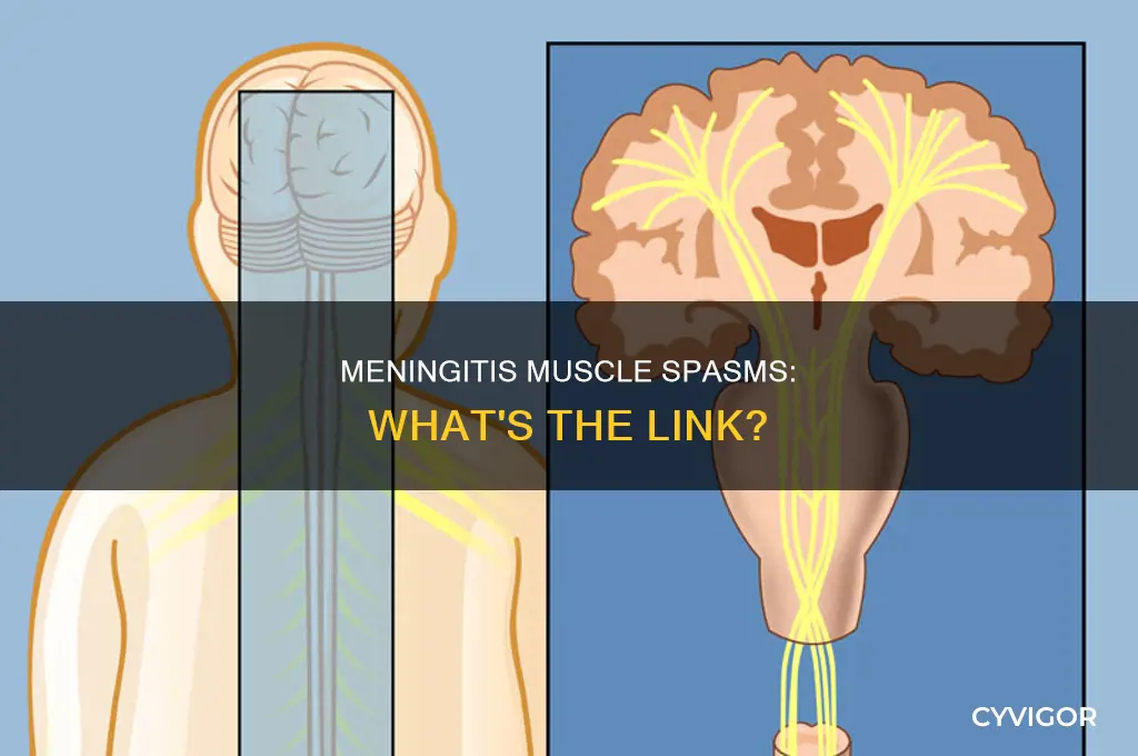 can viral meningitis cause muscle spasms