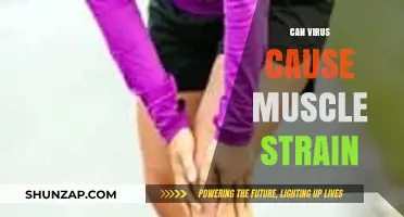 Viruses and Muscle Strain: What's the Link?