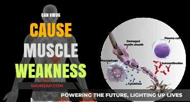 Viruses and Muscle Weakness: Understanding the Connection