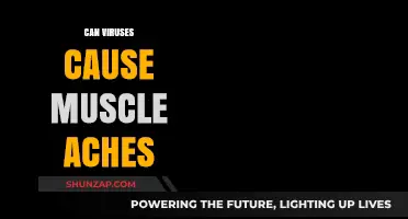 Viruses and Muscle Aches: What's the Connection?