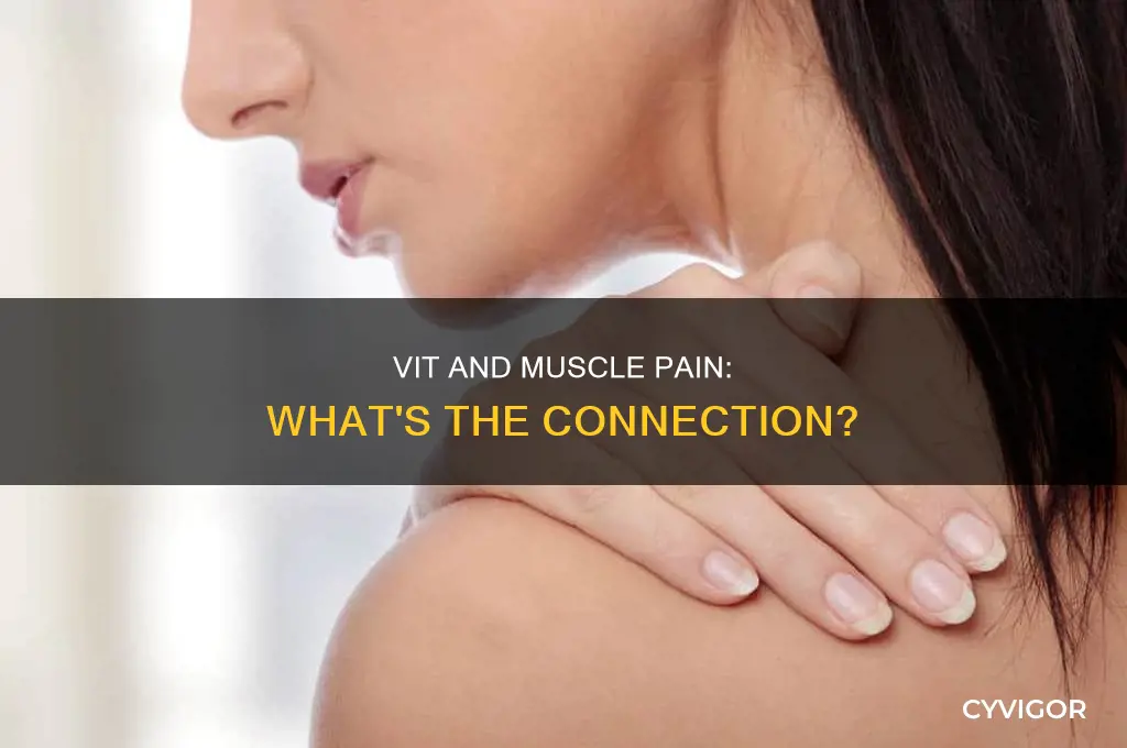 can vit cause muscle pain