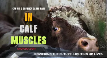 Vit D Deficiency: Calf Pain Culprit?