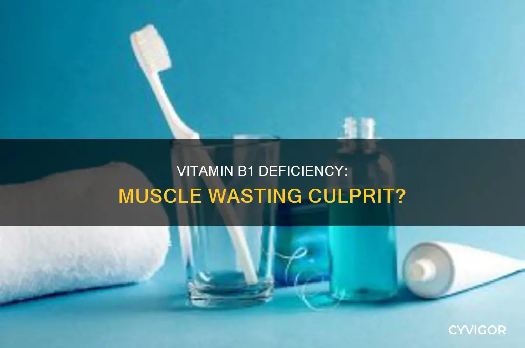 can vitamin b1 deficiency cause muscle wasting