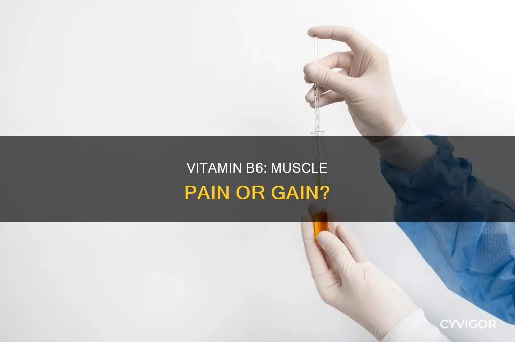 can vitamin b6 cause muscle pain