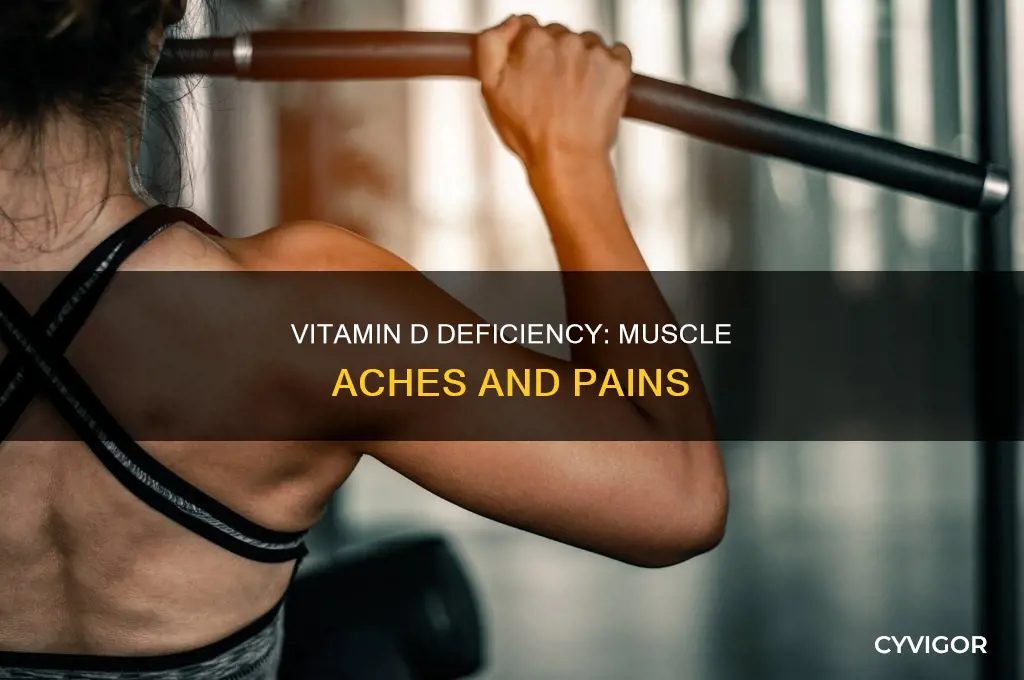 can vitamin d deficiency cause muscle aches