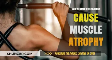 Vitamin D Deficiency: A Risk Factor for Muscle Atrophy?