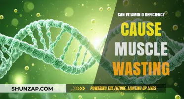Vitamin D Deficiency: Muscle Wasting Culprit?