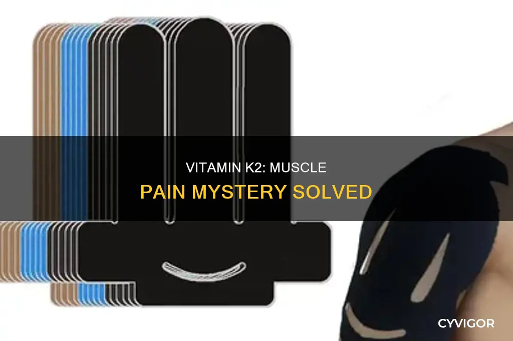 can vitamin k2 cause muscle pain