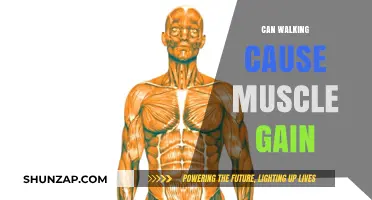Walking for Muscle Gain: Is It Possible?