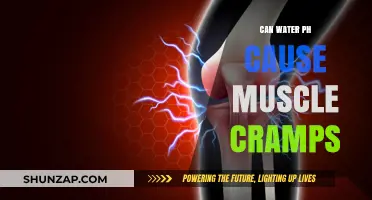 Hydration and Muscle Cramps: The pH Factor