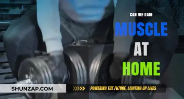 Building Muscle at Home: Effective Strategies Without Gym Equipment