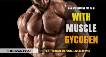 Prevent Fat Gain: The Role of Muscle Glycogen Explained
