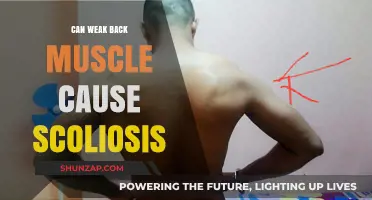 Back Muscle Imbalance: A Cause of Scoliosis?
