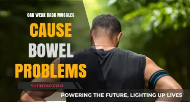 Back Muscle Weakness: Bowel Problems Explained