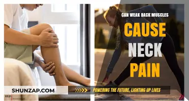 Back Muscle Weakness: A Surprising Cause of Neck Pain