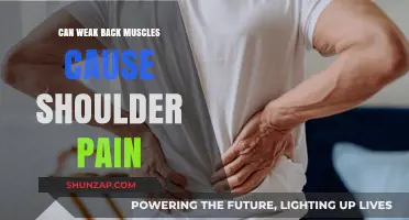 Back Muscle Weakness: A Surprising Cause of Shoulder Pain