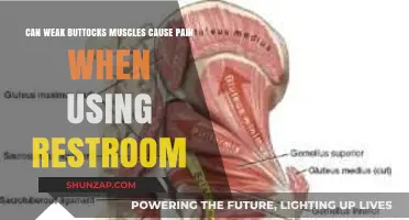 Weak Glutes: An Unexpected Cause of Restroom Pain