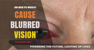Weak Eye Muscles: Blurry Vision Culprit?
