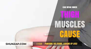 Weak Inner Thigh Muscles: What Ailments They Cause