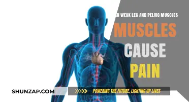 Leg and Pelvic Muscles: Weakness and Pain