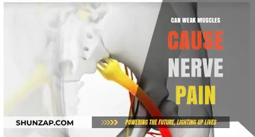Weak Muscles: A Surprising Source of Nerve Pain?