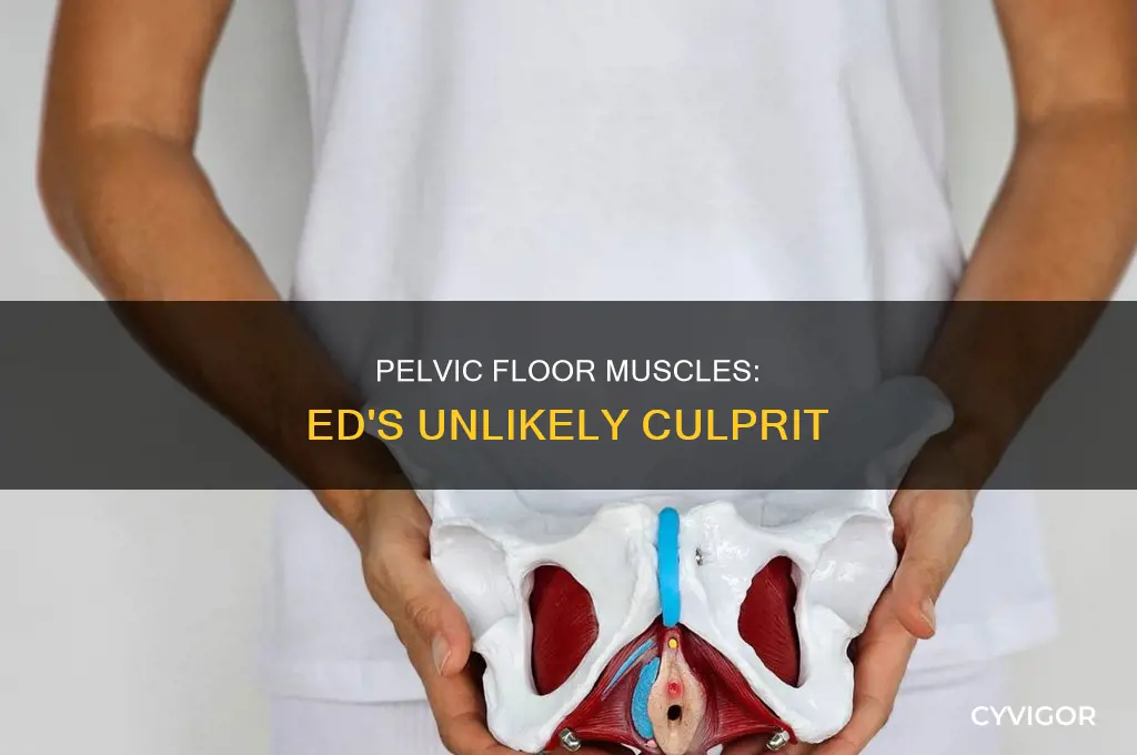 can weak pelvic floor muscles cause erectile dysfunction