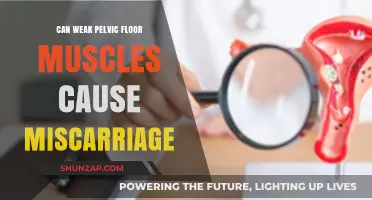 Pelvic Floor Muscles: Miscarriage and Weakness Connection