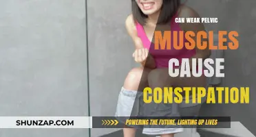 Pelvic Muscle Weakness: A Constipation Culprit?