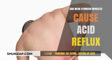Weak Stomach Muscles: A Cause of Acid Reflux?