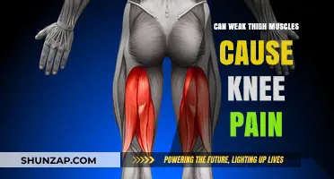 Thigh Muscle Strength: Impact on Knee Pain