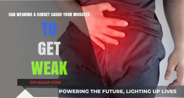 Corsets: Do They Weaken Your Core Muscles?