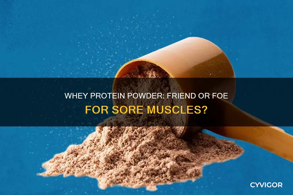 can wehy protein powder cause muscle soreness