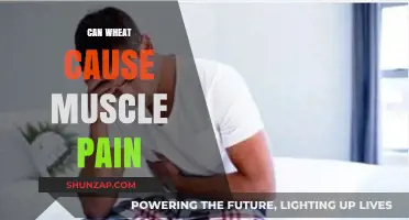 Wheat and Muscle Pain: Is There a Link?