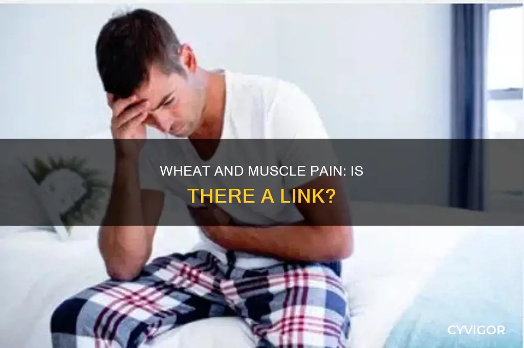 can wheat cause muscle pain