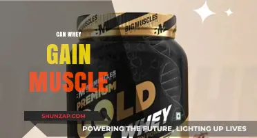 Can Whey Protein Help You Build Muscle Effectively?