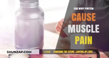 Whey Protein and Muscle Pain: What's the Link?