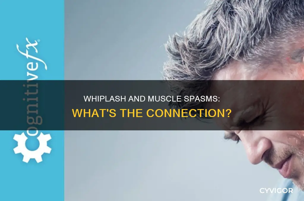 can whiplash cause muscle spasms