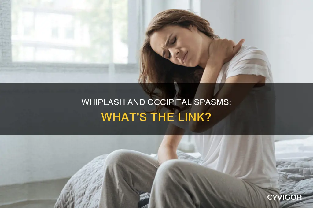 can whiplash cause occipital muscle spasms