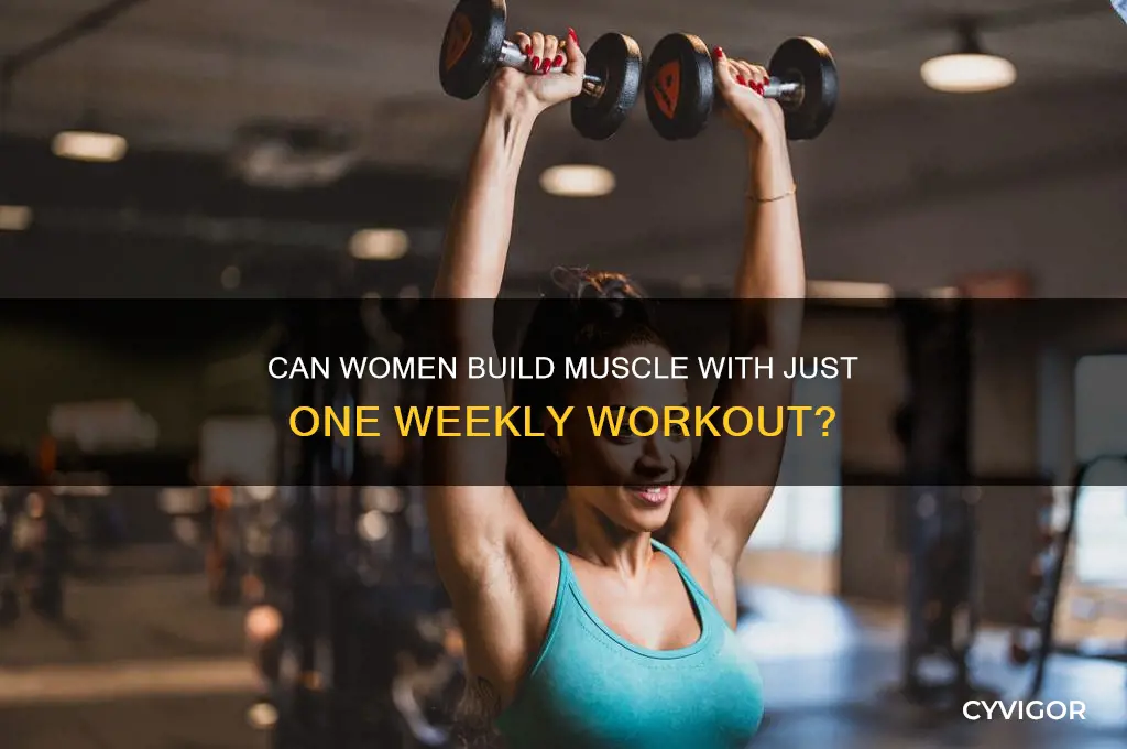 can women gain muscle by working out once a week