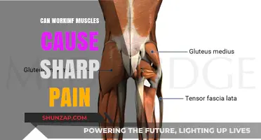 Working Out: Muscle Pain or Something More Serious?
