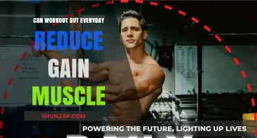 Daily Workouts: Effective for Muscle Gain or Overtraining Risk?
