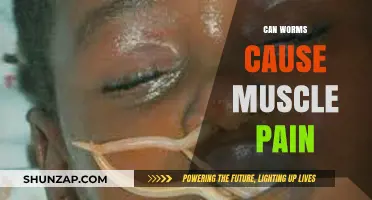 Worms and Muscle Pain: Is There a Link?
