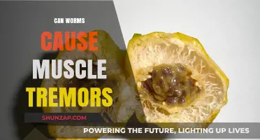 Worms and Muscle Tremors: Is There a Link?