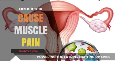 Yeast Infection and Muscle Pain: Is There a Link?
