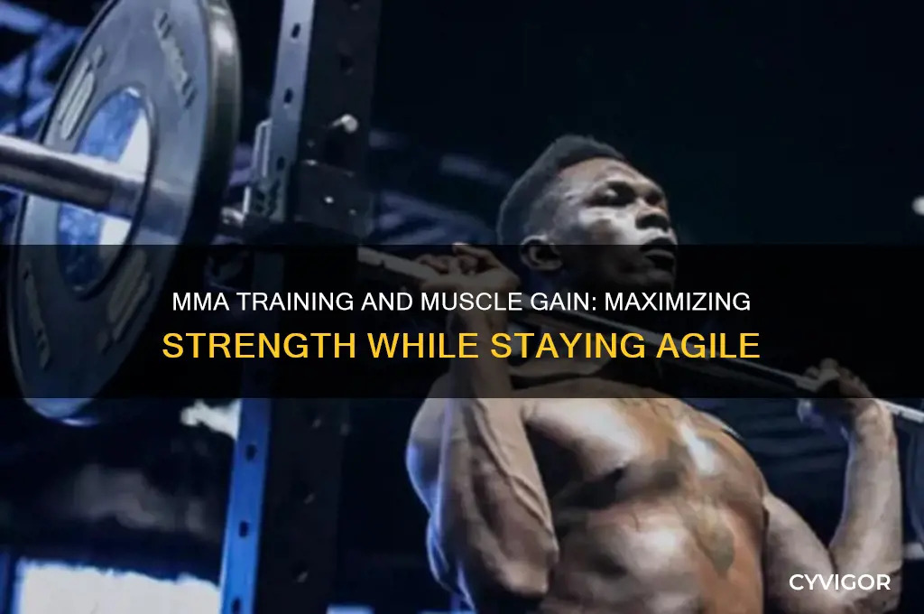 can yo ustill gain alot of muscle while doing mma