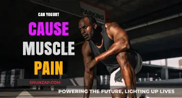 Yogurt and Muscle Pain: What's the Connection?