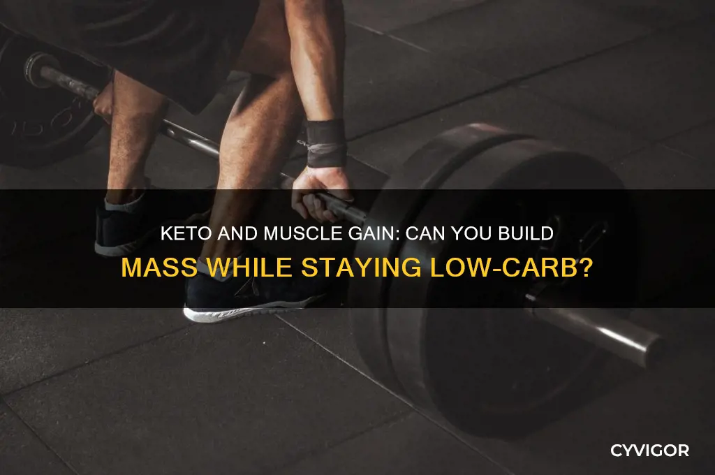 can you be on keto and gain muscle