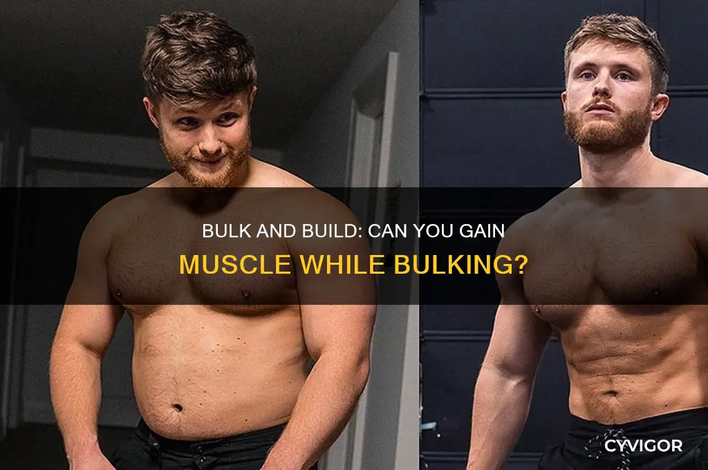 can you bulk and gain muscle at the same time