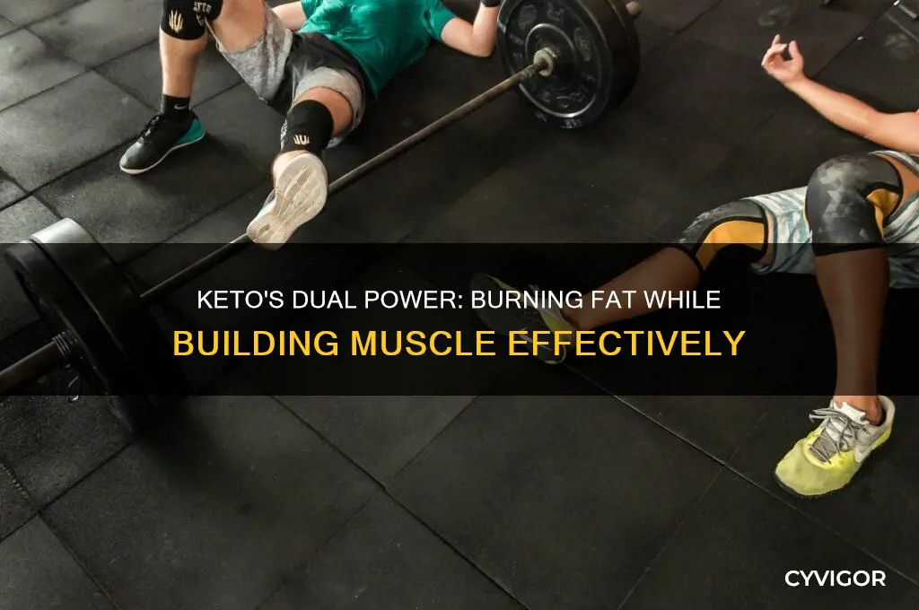 can you burn fat and gain muscle on keto