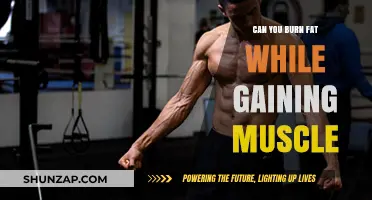 Burn Fat, Build Muscle: Achieving the Ultimate Body Recomposition